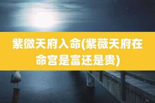 紫微天府入命(紫薇天府在命宫是富还是贵)