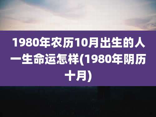 1980年农历10月出生的人一生命运怎样(1980年阴历十月)