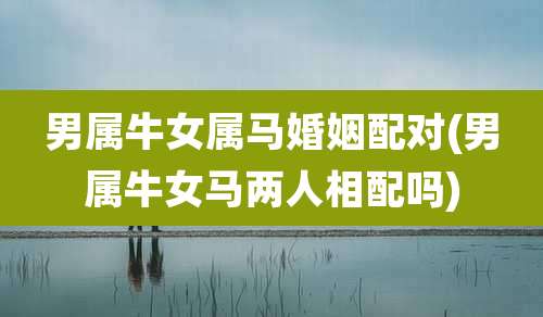 男属牛女属马婚姻配对(男属牛女马两人相配吗)