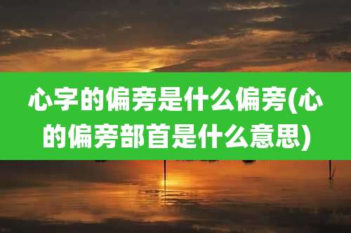 心字的偏旁是什么偏旁(心的偏旁部首是什么意思)
