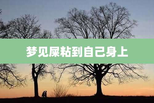 梦见屎粘到自己身上