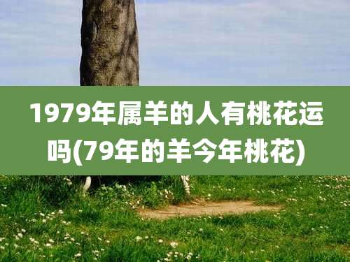 1979年属羊的人有桃花运吗(79年的羊今年桃花)