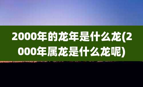 2000年的龙年是什么龙(2000年属龙是什么龙呢)
