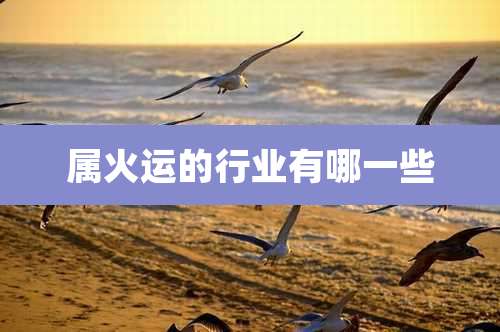 属火运的行业有哪一些