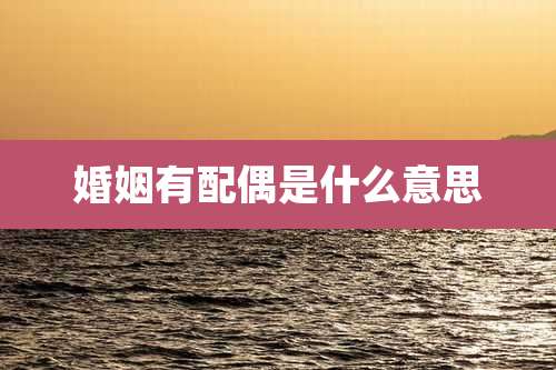 婚姻有配偶是什么意思