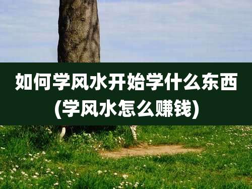 如何学风水开始学什么东西(学风水怎么赚钱)