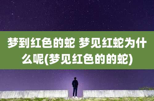 梦到红色的蛇 梦见红蛇为什么呢(梦见红色的的蛇)