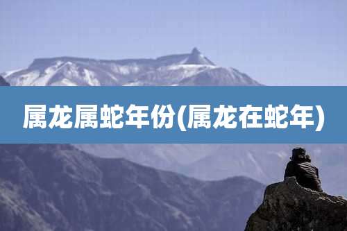 属龙属蛇年份(属龙在蛇年)