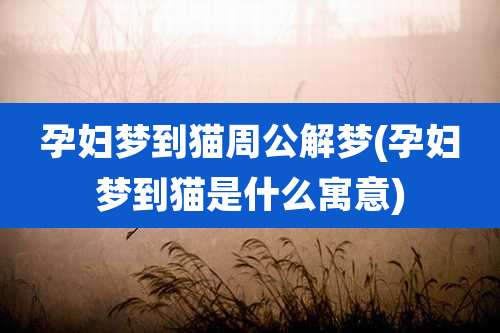 孕妇梦到猫周公解梦(孕妇梦到猫是什么寓意)