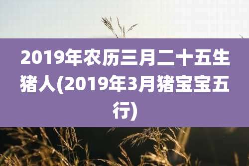 2019年农历三月二十五生猪人(2019年3月猪宝宝五行)