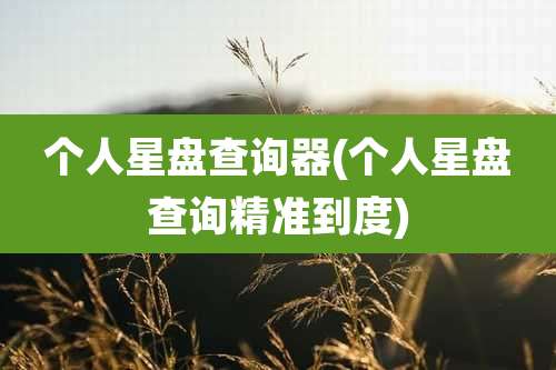个人星盘查询器(个人星盘查询精准到度)