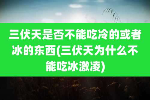 三伏天是否不能吃冷的或者冰的东西(三伏天为什么不能吃冰激凌)