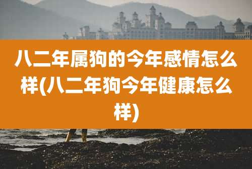 八二年属狗的今年感情怎么样(八二年狗今年健康怎么样)