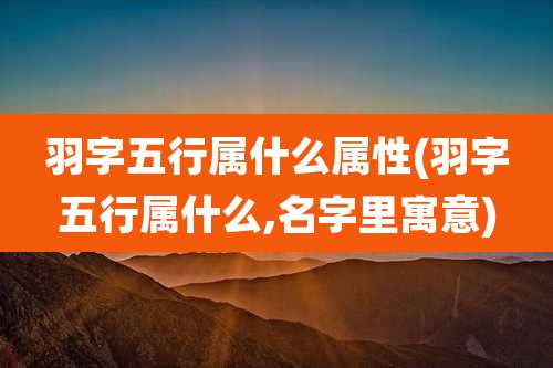 羽字五行属什么属性(羽字五行属什么,名字里寓意)