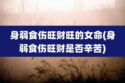 身弱食伤旺财旺的女命(身弱食伤旺财是否辛苦)