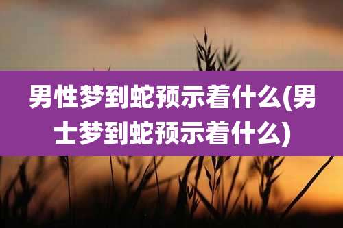 男性梦到蛇预示着什么(男士梦到蛇预示着什么)