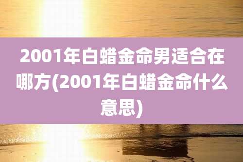 2001年白蜡金命男适合在哪方(2001年白蜡金命什么意思)