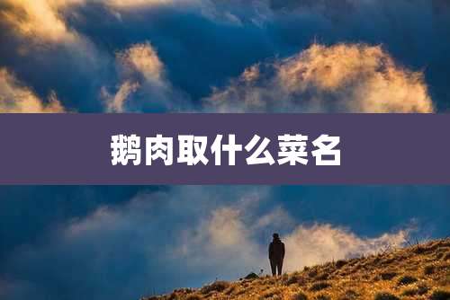 鹅肉取什么菜名