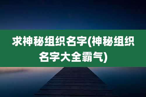 求神秘组织名字(神秘组织名字大全霸气)