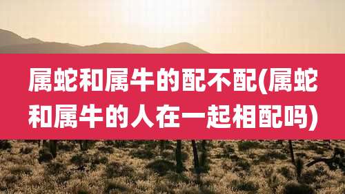 属蛇和属牛的配不配(属蛇和属牛的人在一起相配吗)