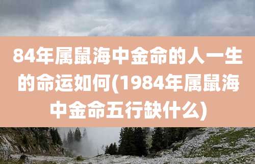 84年属鼠海中金命的人一生的命运如何(1984年属鼠海中金命五行缺什么)