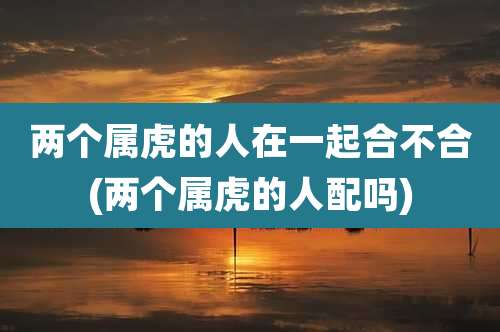 两个属虎的人在一起合不合(两个属虎的人配吗)