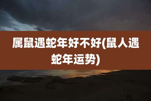 属鼠遇蛇年好不好(鼠人遇蛇年运势)