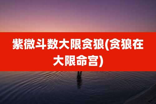 紫微斗数大限贪狼(贪狼在大限命宫)