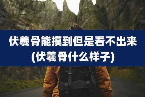 伏羲骨能摸到但是看不出来(伏羲骨什么样子)