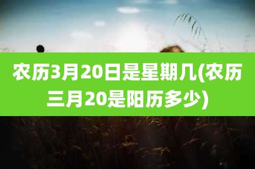 农历3月20日是星期几(农历三月20是阳历多少)