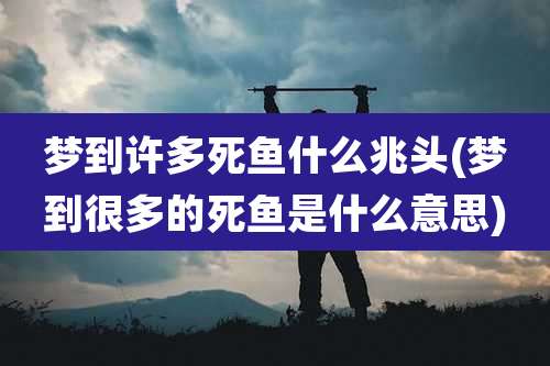 梦到许多死鱼什么兆头(梦到很多的死鱼是什么意思)