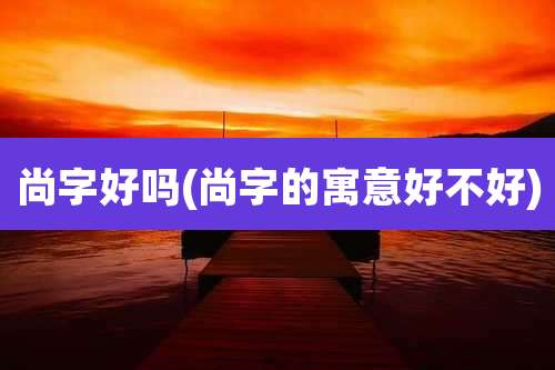 尚字好吗(尚字的寓意好不好)