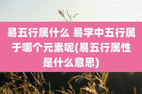 易五行属什么 易学中五行属于哪个元素呢(易五行属性是什么意思)