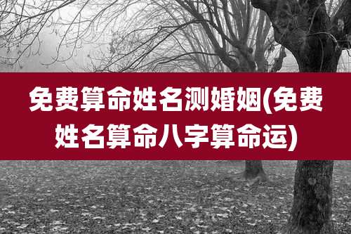 免费算命姓名测婚姻(免费姓名算命八字算命运)