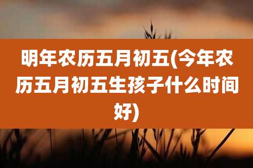 明年农历五月初五(今年农历五月初五生孩子什么时间好)