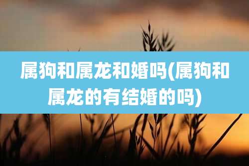 属狗和属龙和婚吗(属狗和属龙的有结婚的吗)