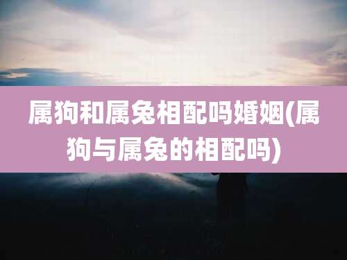 属狗和属兔相配吗婚姻(属狗与属兔的相配吗)