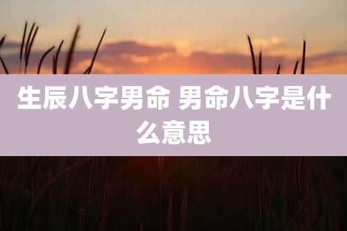 生辰八字男命 男命八字是什么意思