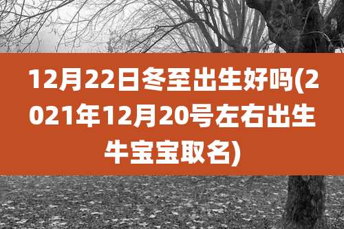 12月22日冬至出生好吗(2021年12月20号左右出生牛宝宝取名)