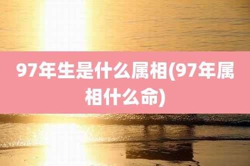 97年生是什么属相(97年属相什么命)