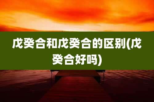 戊癸合和戊癸合的区别(戊癸合好吗)