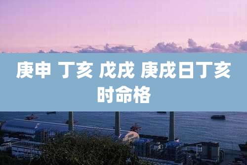 庚申 丁亥 戊戌 庚戌日丁亥时命格