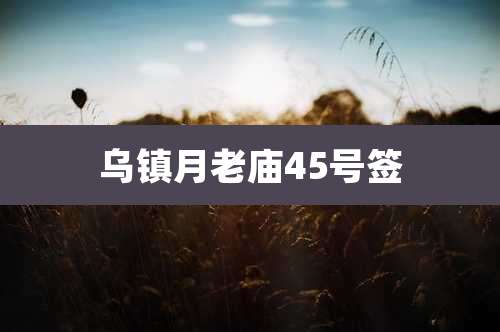 乌镇月老庙45号签