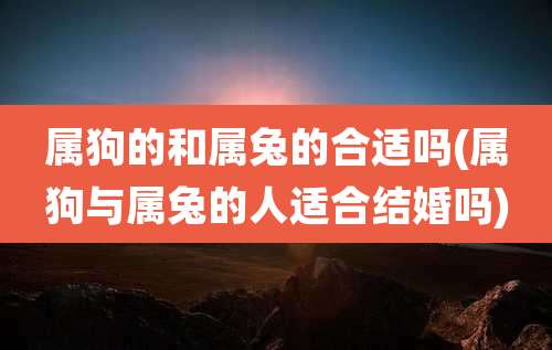 属狗的和属兔的合适吗(属狗与属兔的人适合结婚吗)