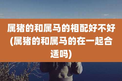 属猪的和属马的相配好不好(属猪的和属马的在一起合适吗)
