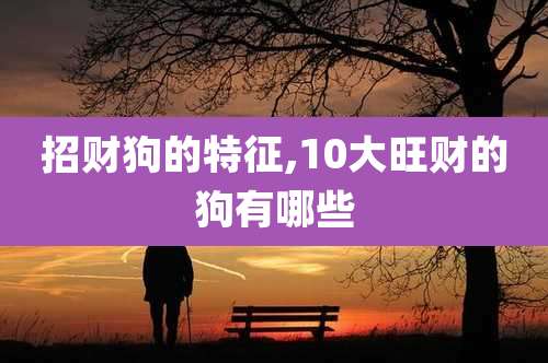 招财狗的特征,10大旺财的狗有哪些