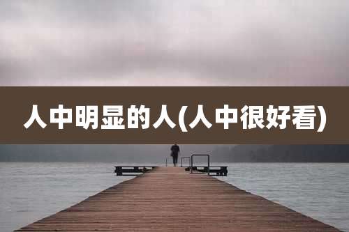 人中明显的人(人中很好看)