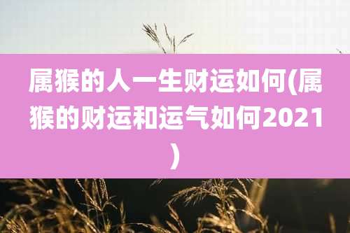属猴的人一生财运如何(属猴的财运和运气如何2021)