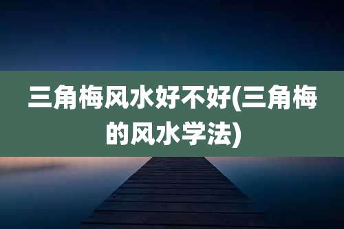 三角梅风水好不好(三角梅的风水学法)