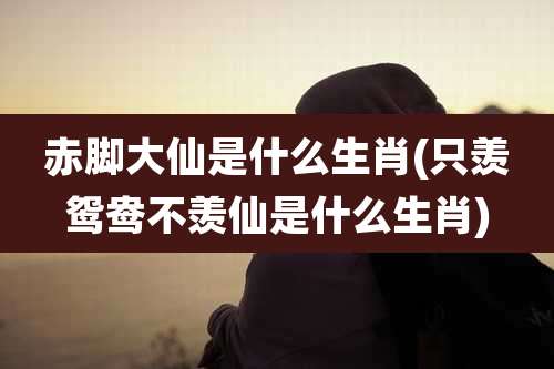 赤脚大仙是什么生肖(只羡鸳鸯不羡仙是什么生肖)